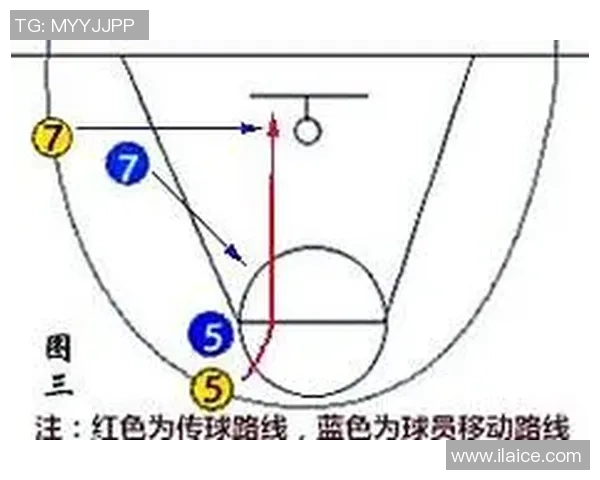 武汉篮球队区域防守分析与战术得失探讨